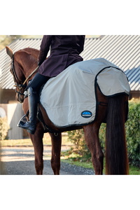 2025 WeatherBeeta Reflective Wrap Around Exercise Sheet 1004324 - Silver